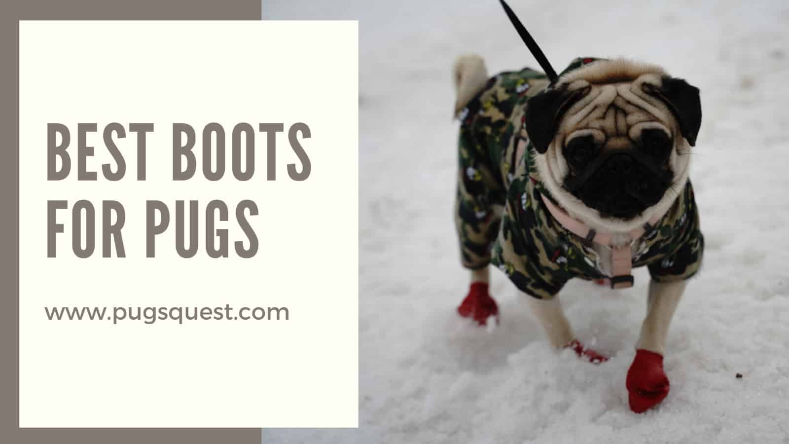 best boots for pugs