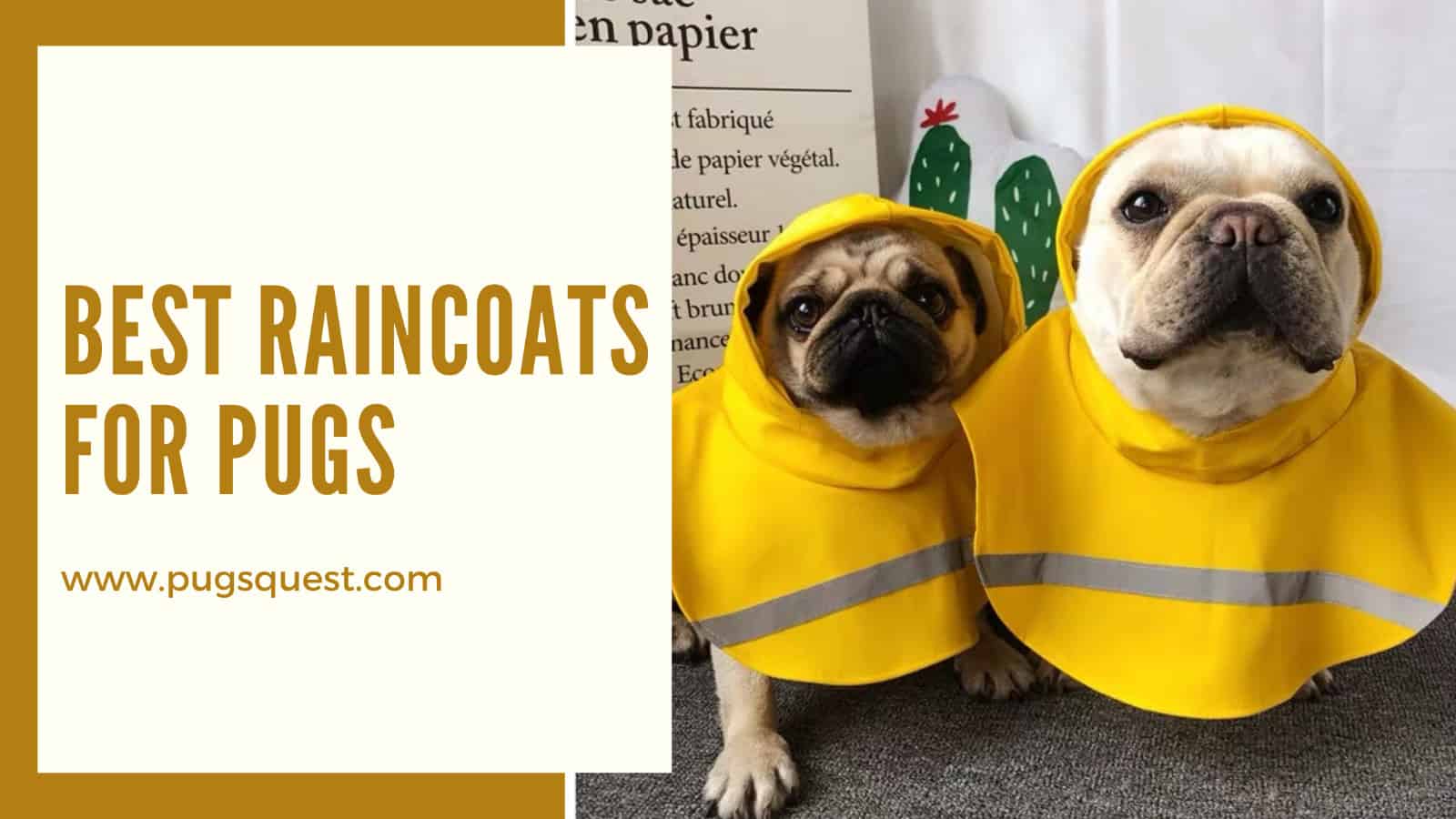 best raincoats for pugs