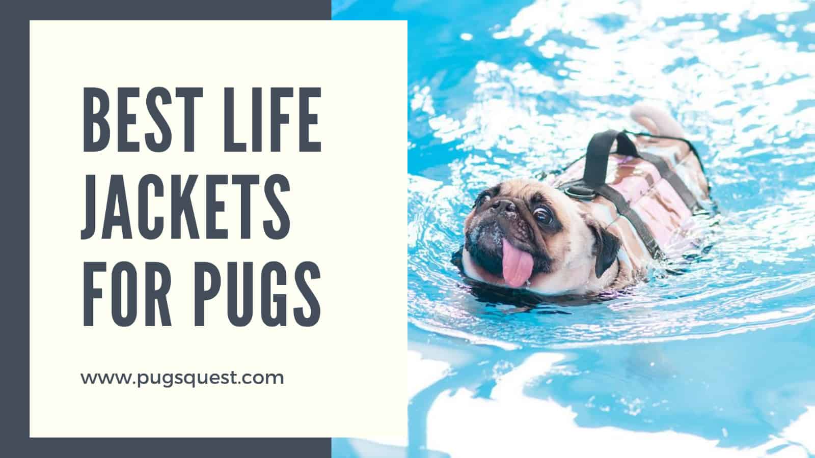best life jackets for pugs