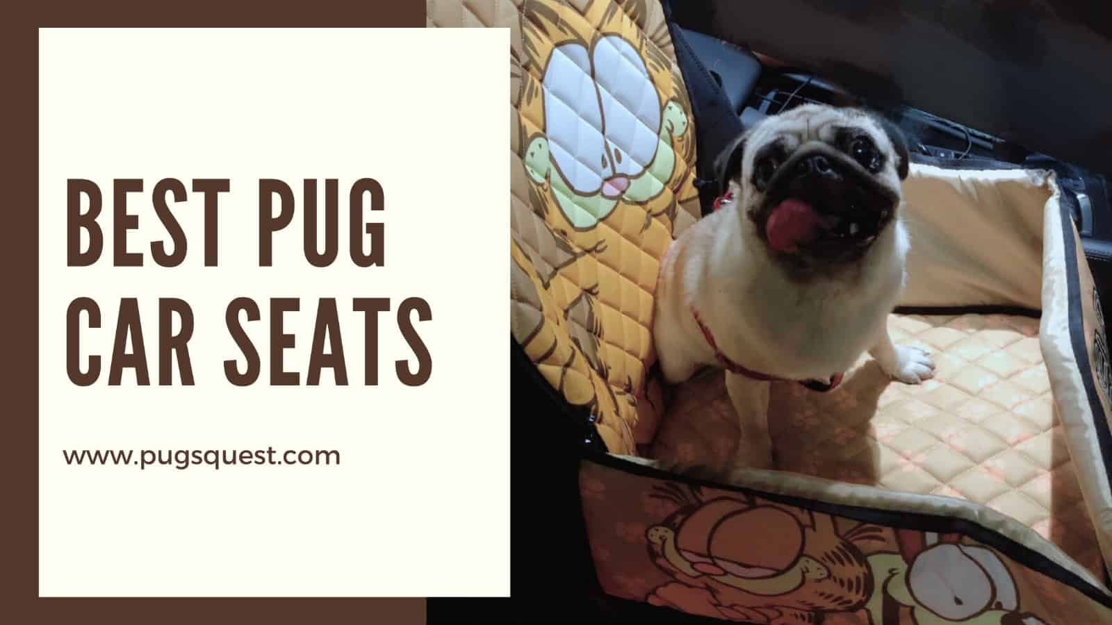 best car seats for pugs
