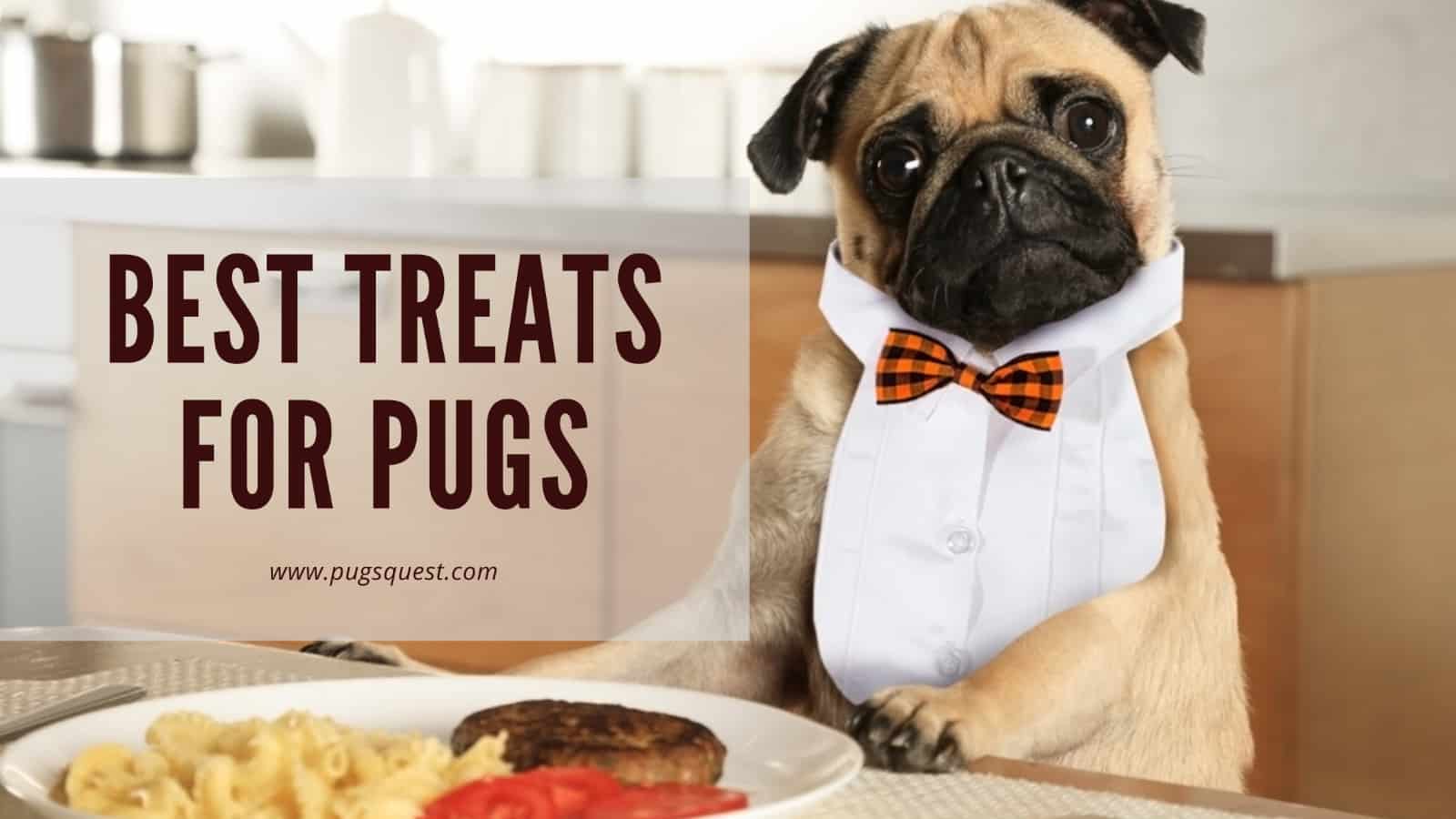 best treats for pugs
