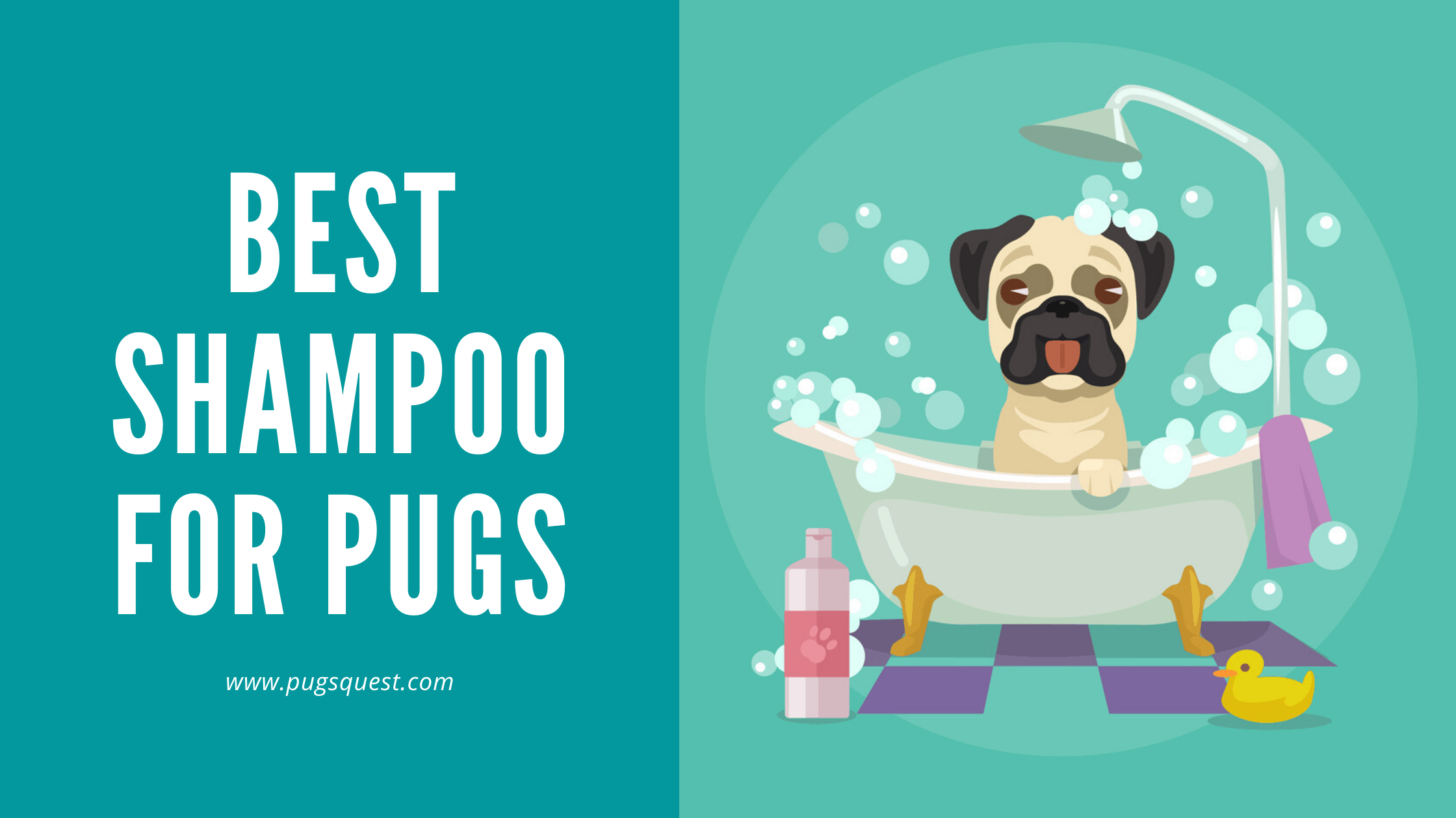best shampoo for pugs