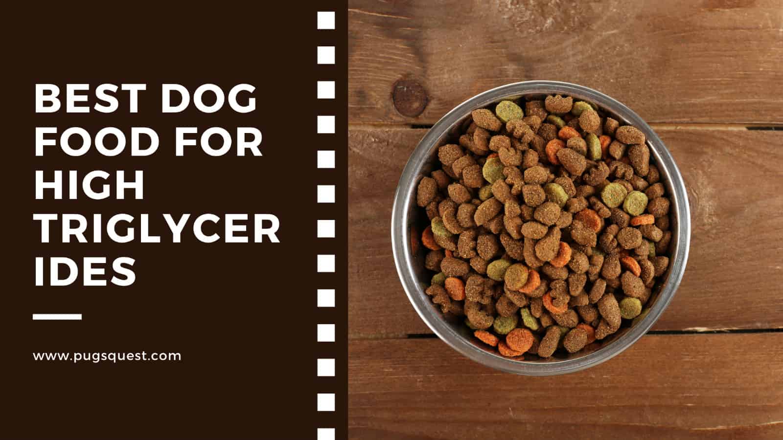 Best Dog Food for High Triglycerides